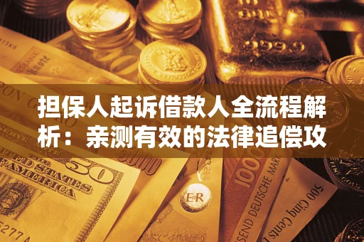 济南担保人起诉借款人全流程解析：亲测有效的法律追偿攻略